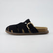 Benson Suede Buckle Clogs for Women