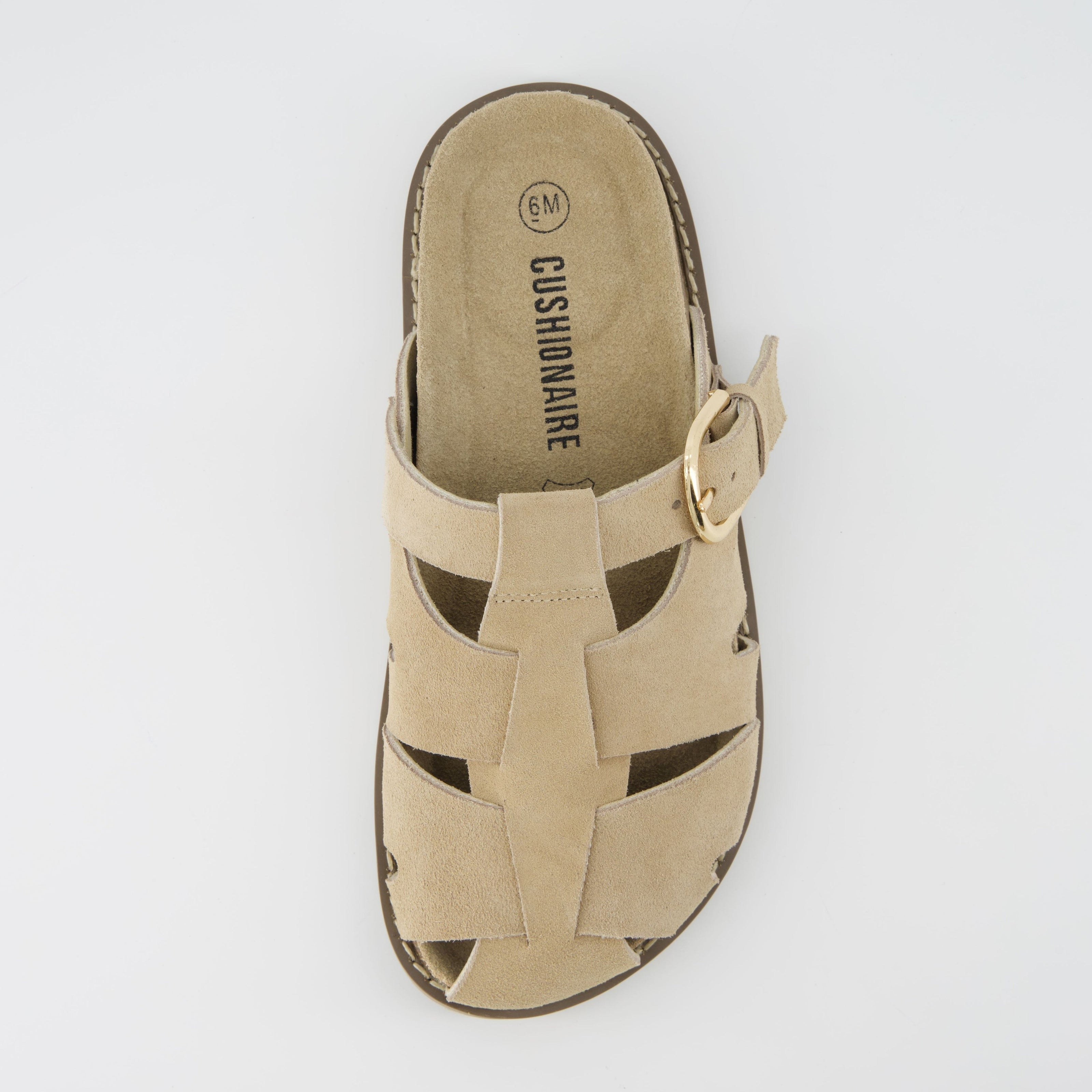 Benson Suede Buckle Clogs for Women