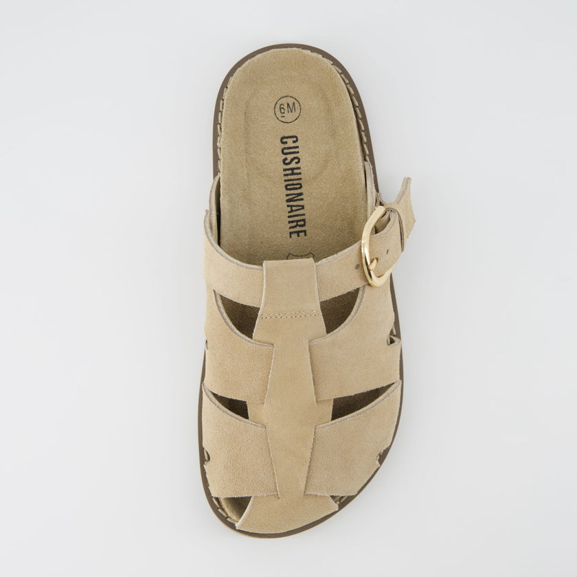 Benson Suede Buckle Clogs for Women