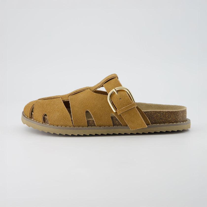 Benson Suede Buckle Clogs for Women