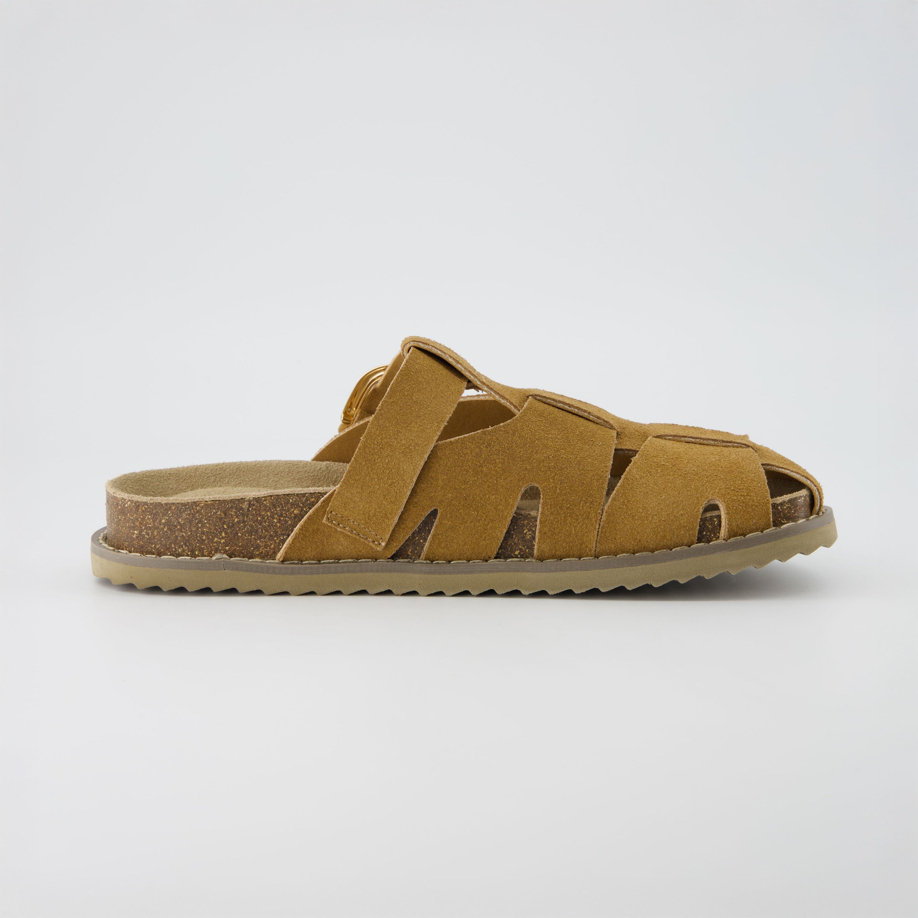 Benson Suede Buckle Clogs for Women