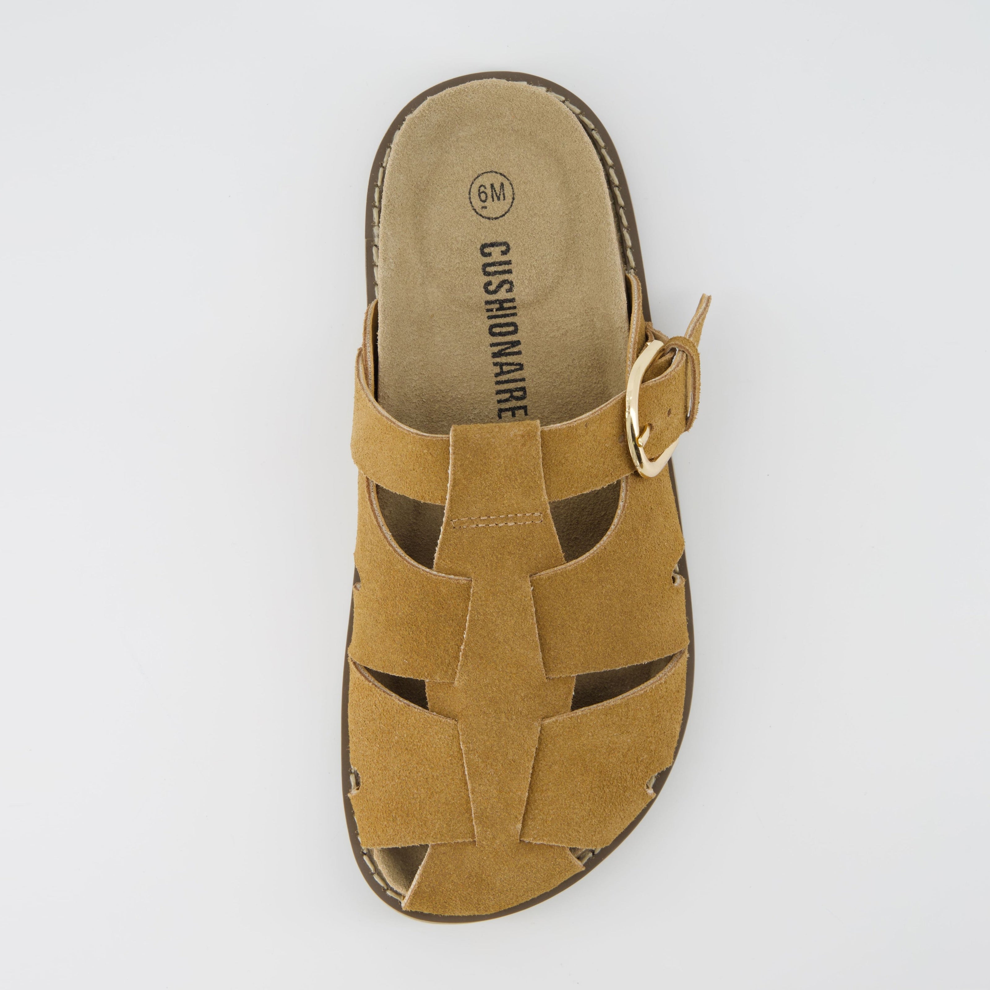Benson Suede Buckle Clogs for Women