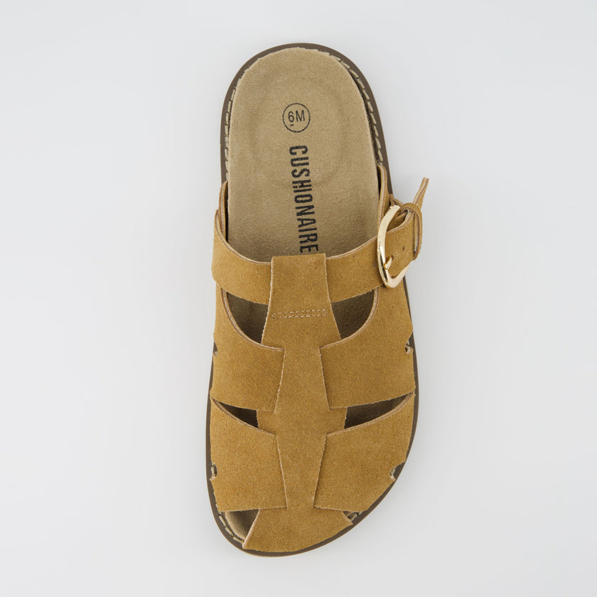 Benson Suede Buckle Clogs for Women