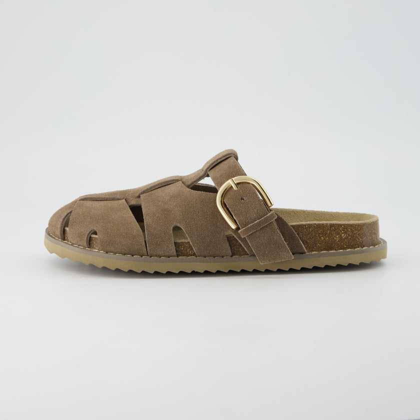 Benson Suede Buckle Clogs for Women