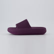Feather Cloud Slide