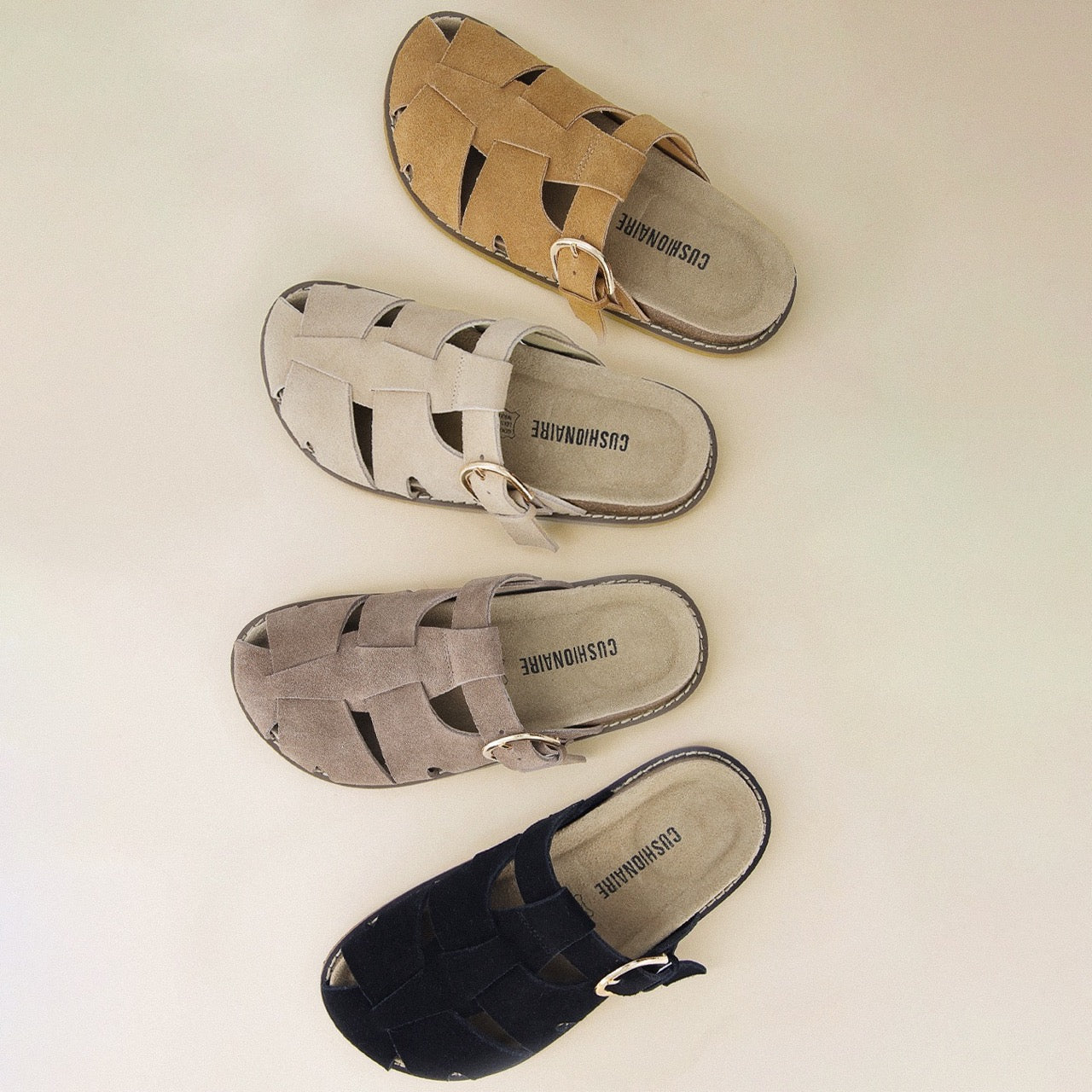 Benson Suede Buckle Clogs for Women